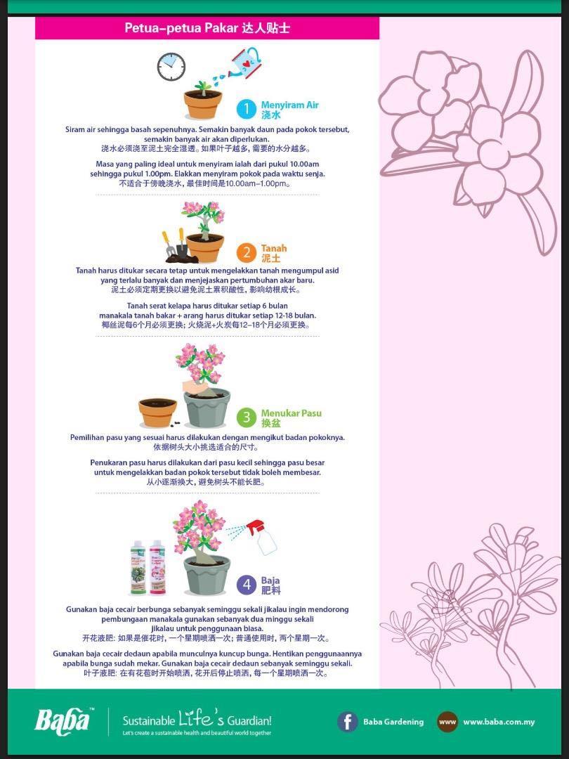 Baba Special Adenium Planting Soil 7 Ltr Furniture Home Living Gardening Garden Soil Fertilisers On Carousell