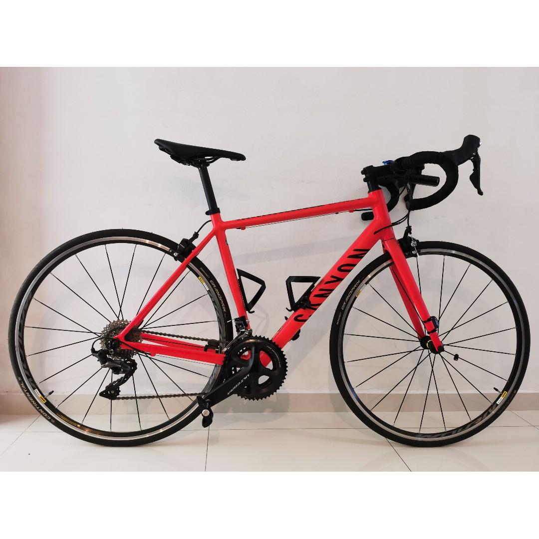 used canyon endurace