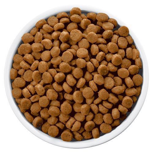 hills cd multicare dog food
