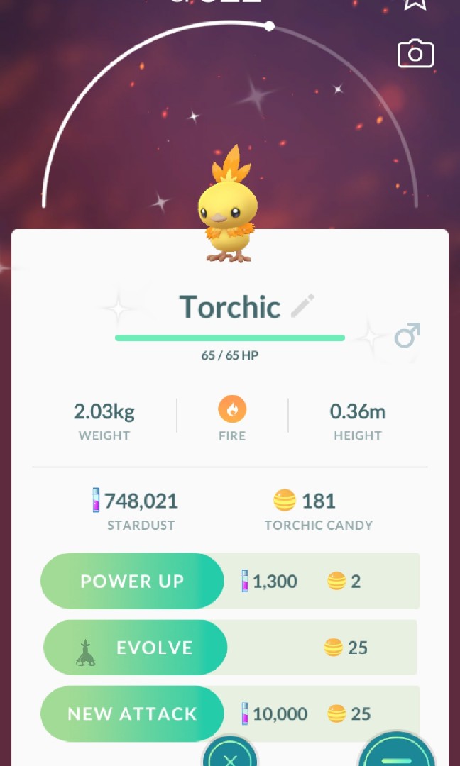 Shiny Torchic Toys Games Video Gaming In Game Products On Carousell - adc rewards robux