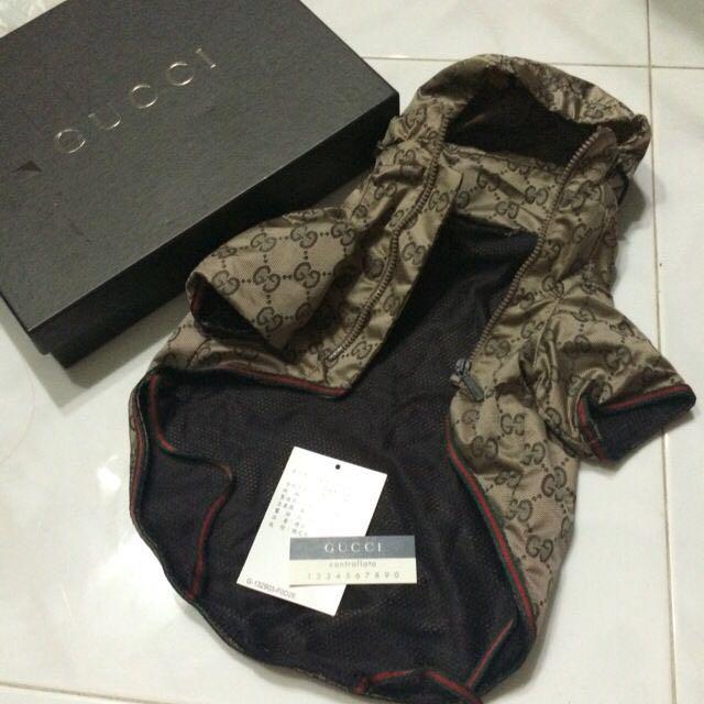Authentic Gucci Pet Dog Wear, Pet Supplies, Homes & Other Pet Accessories  on Carousell