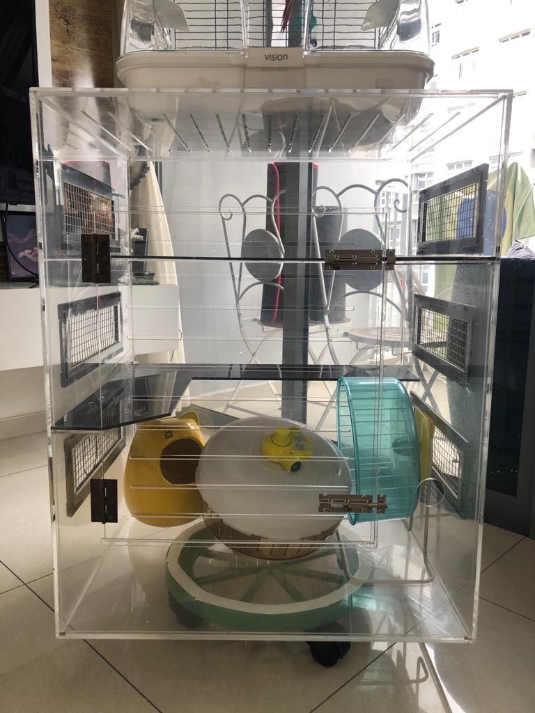 Chinchilla cage for sale Pet Supplies Homes Other Pet Accessories on Carousell