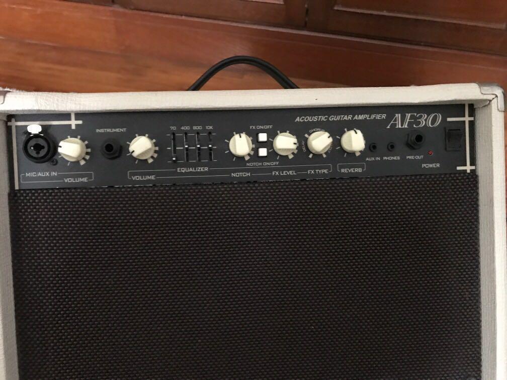 Cort Acoustic Guitar Amplifier AF30, Hobbies & Toys, Music & Media