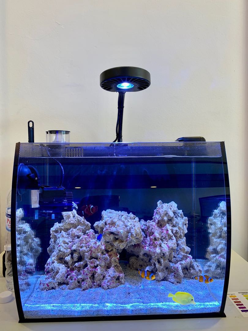 fluval flex marine