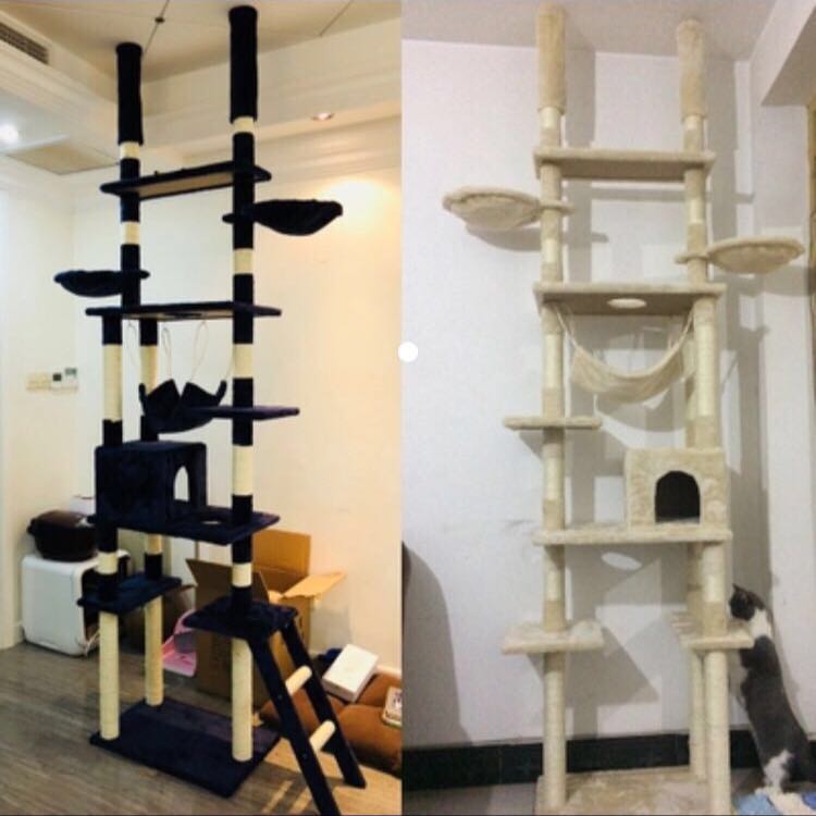 New Double Ceiling Cat Tree House
