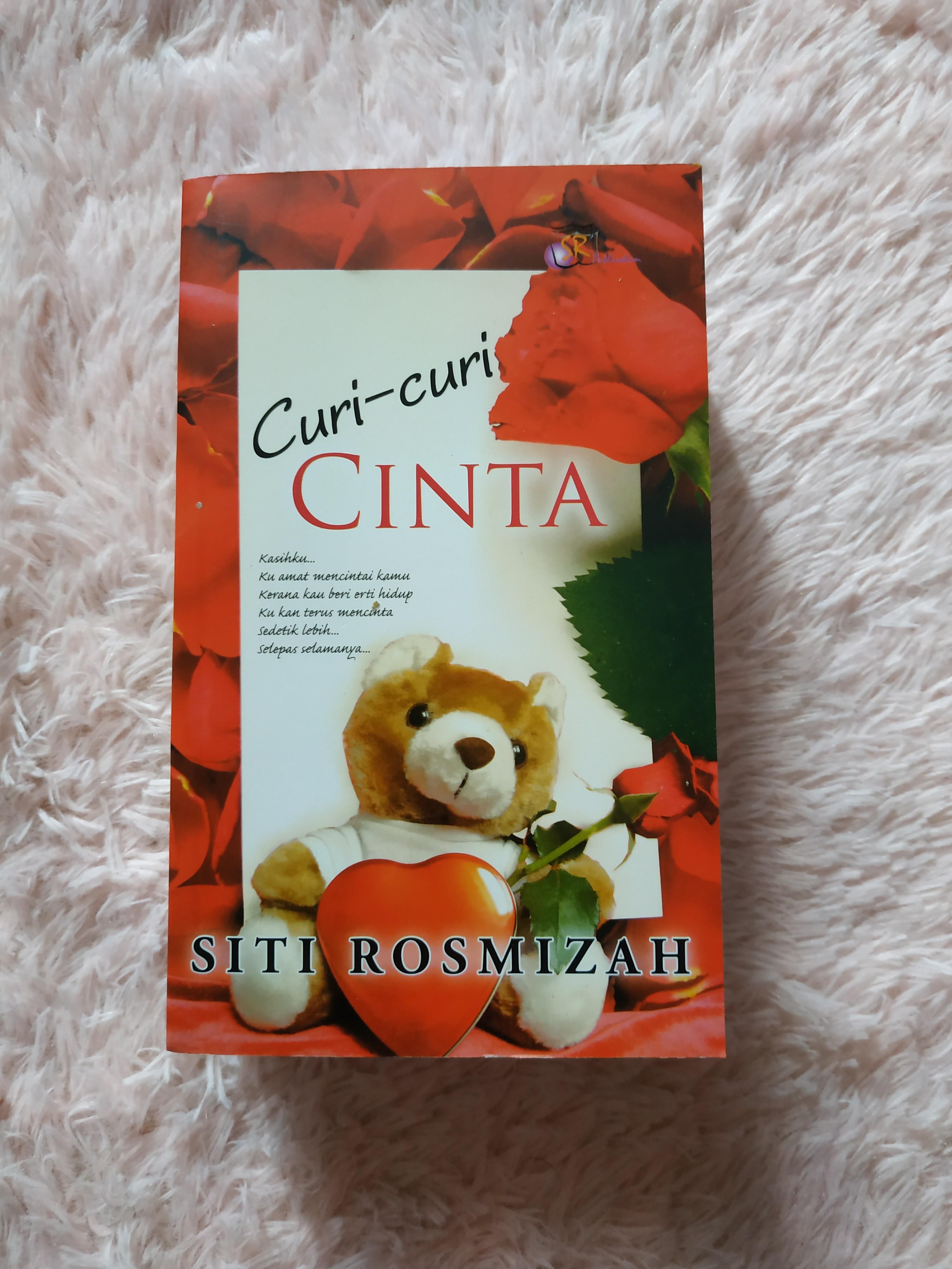 Resensi Novel Curi Curi Cinta