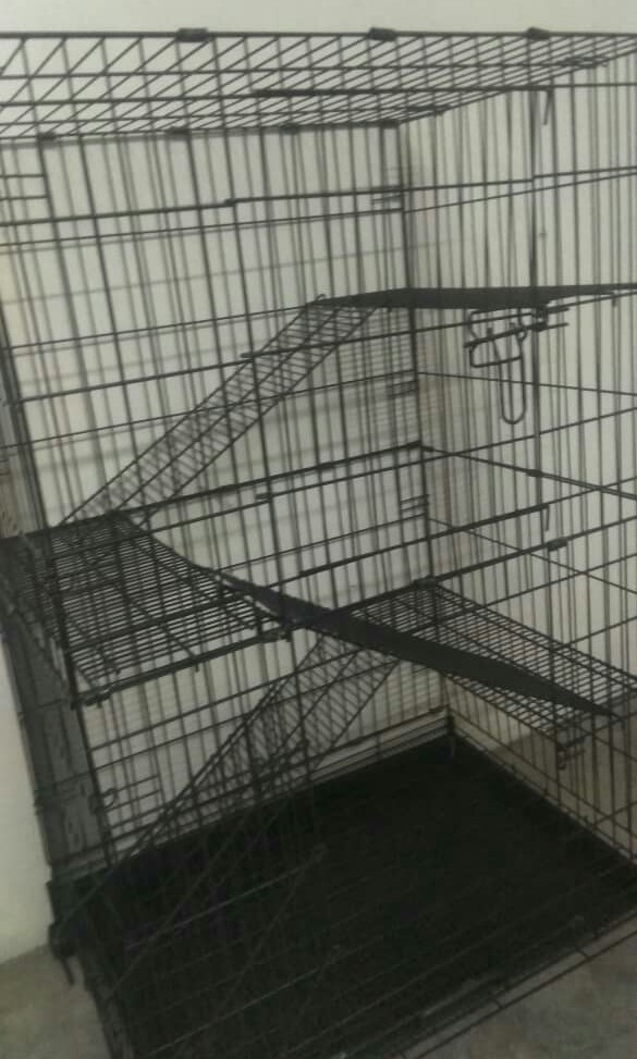 Sangkar Kucing 2nd Hand Pet Supplies Pet Accessories On Carousell