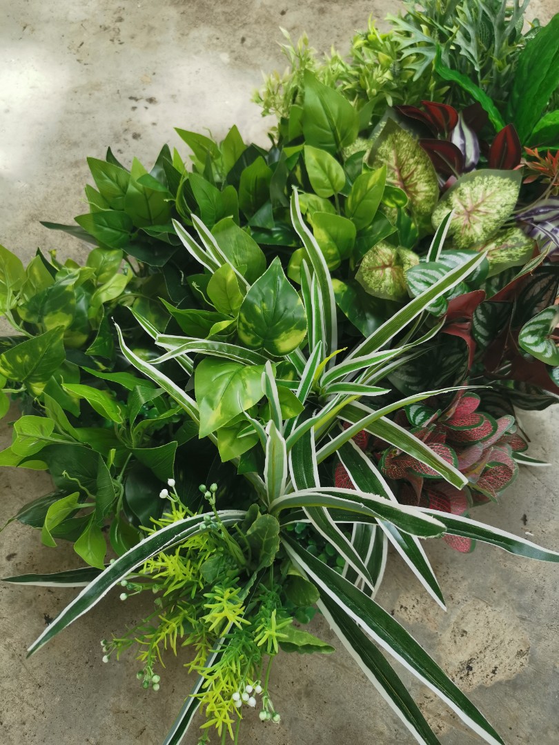 artificial wall garden on Yourstalkmarket Artificial Vertical Green Wall Garden Plants Gardening Plants On Carousell