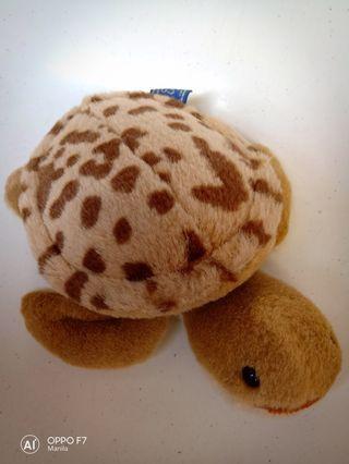 Turtle toy