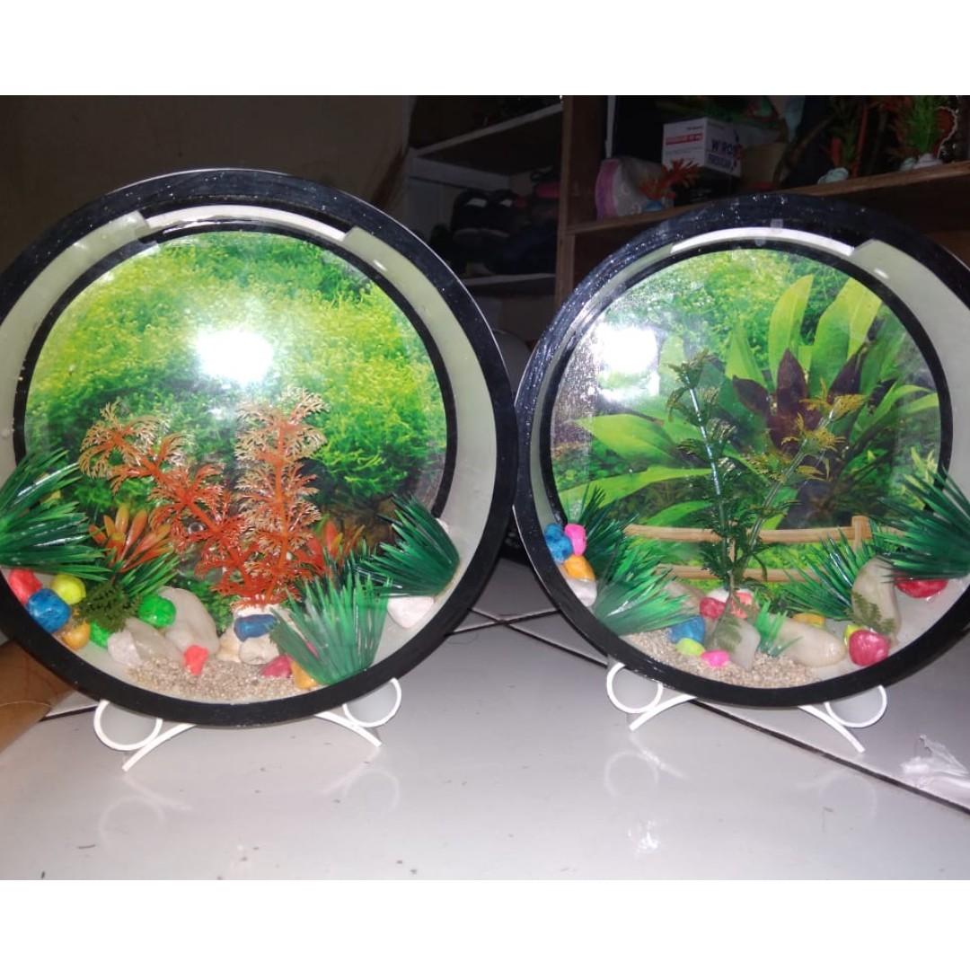 Aquarium Mini Lucu Dan Unik Untuk Hiasan Dinding Atau Kado Anak