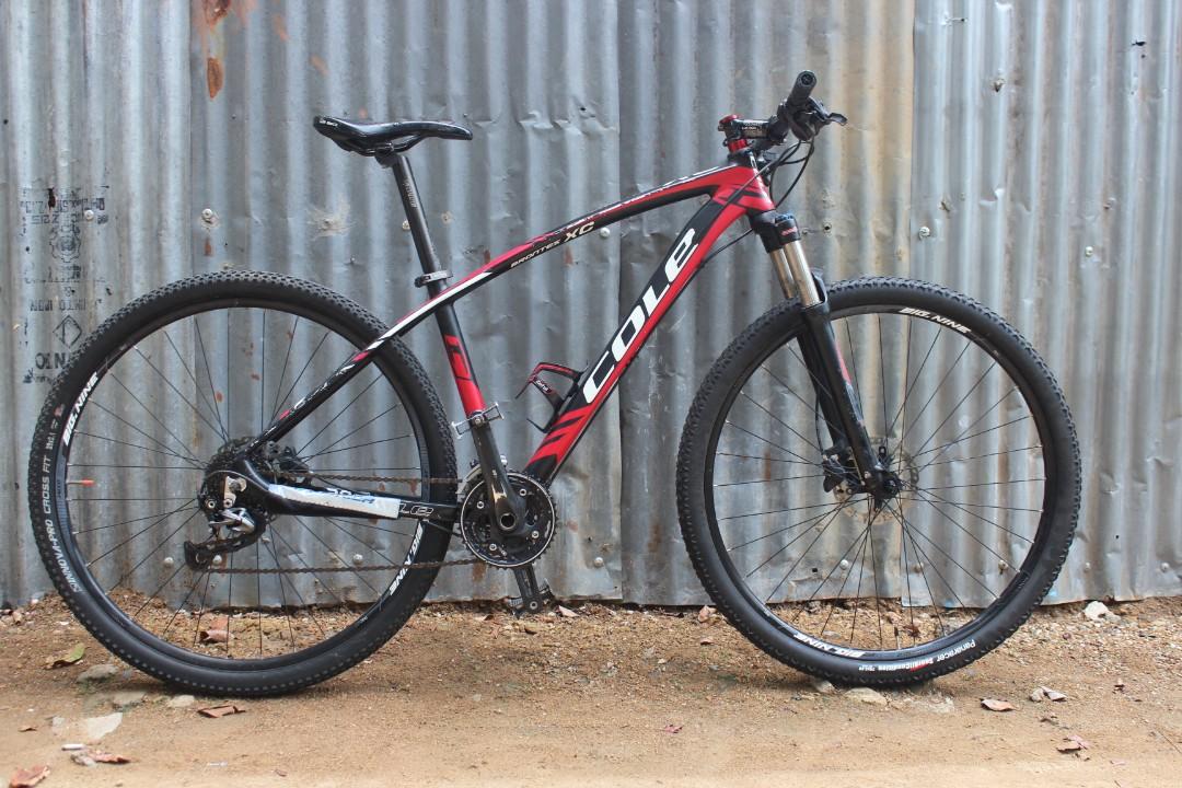 Cole brontes xc 2019 on sale