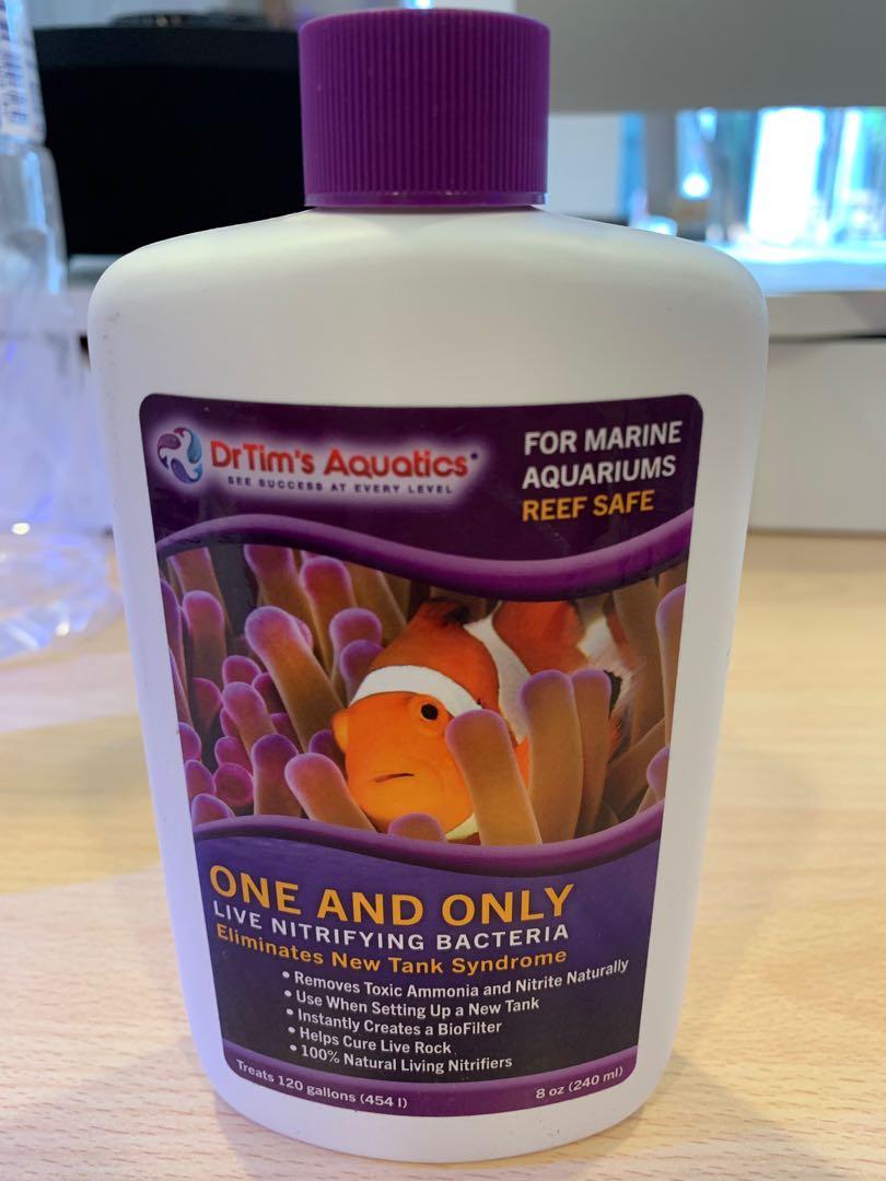 Dr Tim's One & Only Nitrifying Bacteria 8oz (240ml), Pet ...