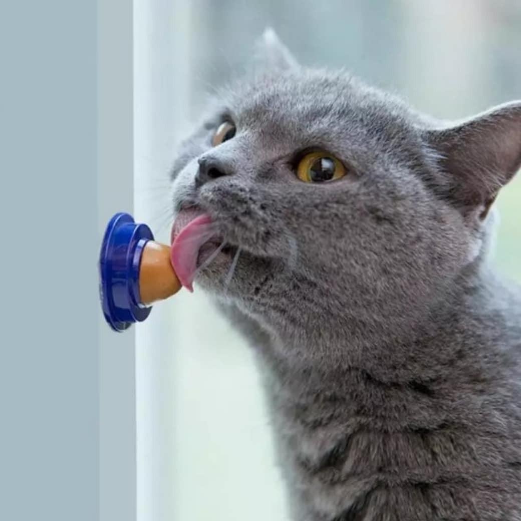 Kitty Lolly Pet Supplies For Cats Cat Food On Carousell