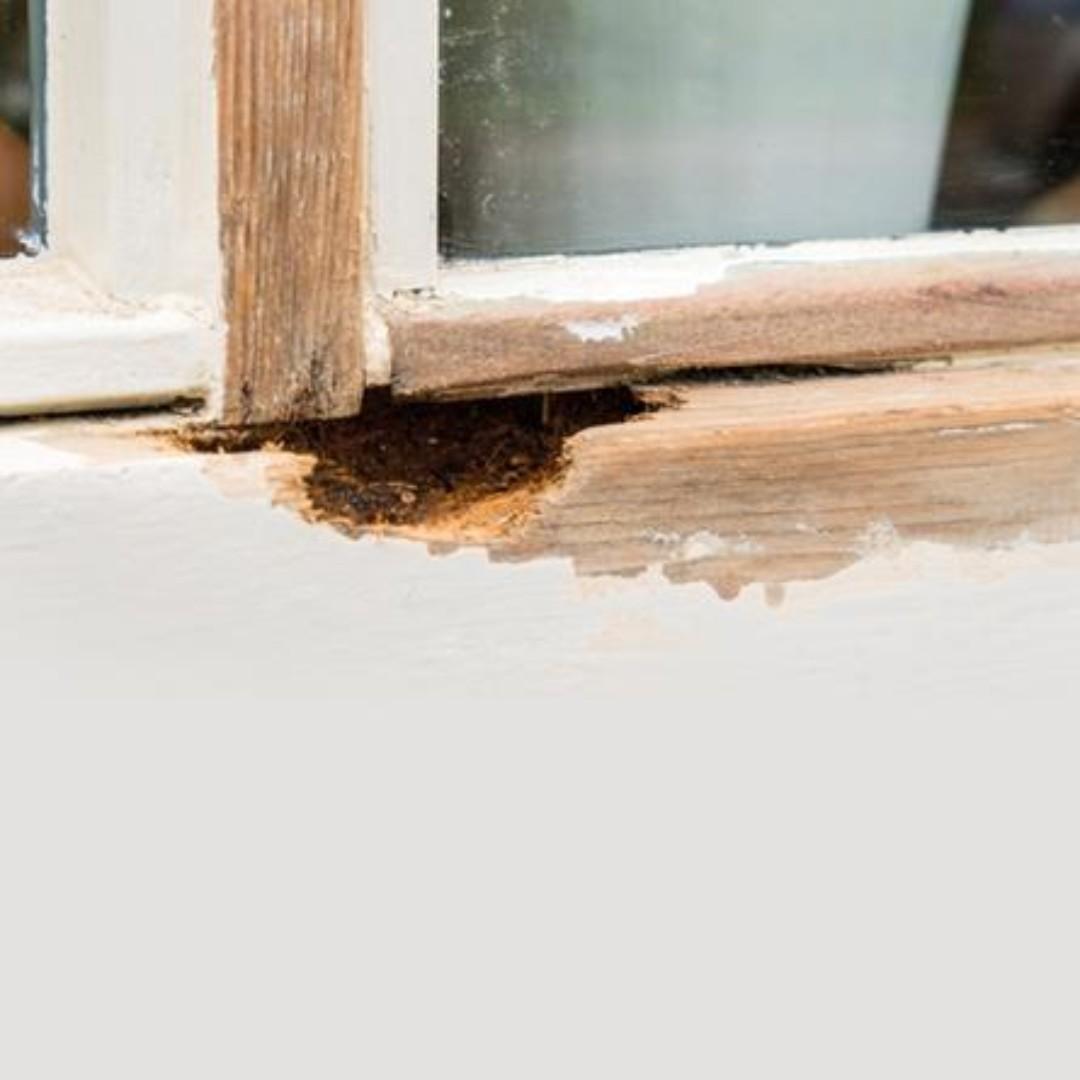 New Ronseal Wet Rot Wood Hardener 250ml Furniture Others On