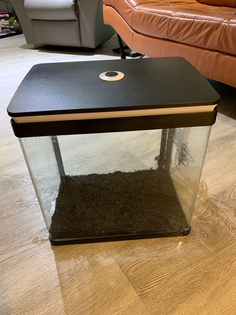 Sun Sun Table Top Tank 37x26x34cm Lxhxw Pet Supplies For Fish Fish Tanks On Carousell