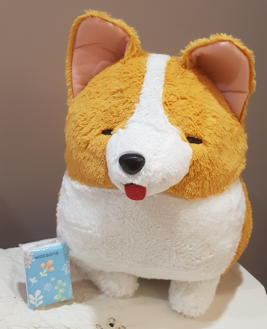 Ichi ni shop no corgi