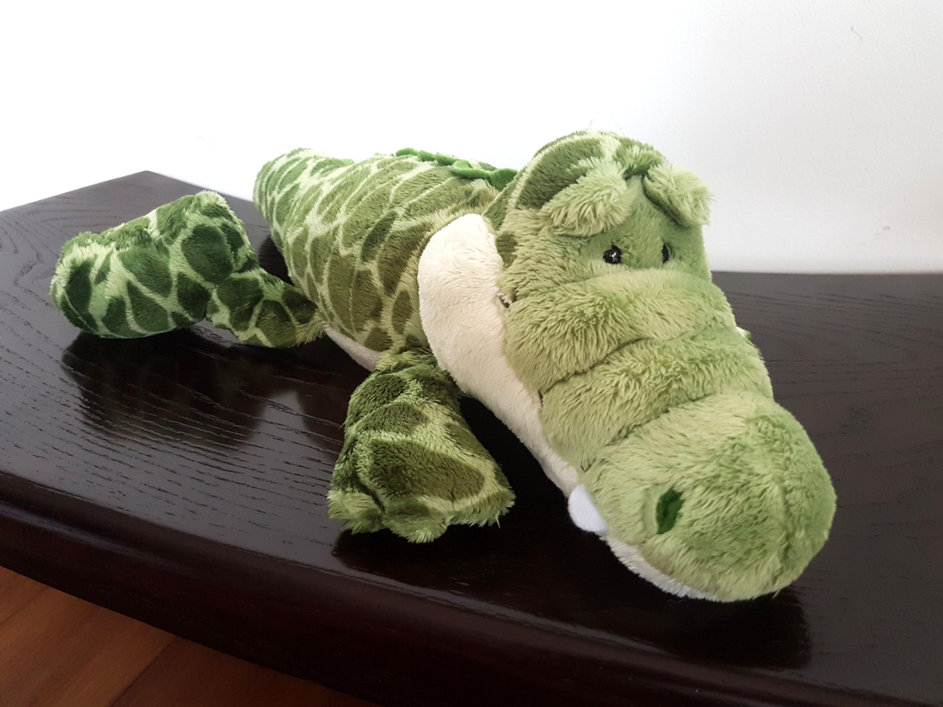 Nici crocodile store