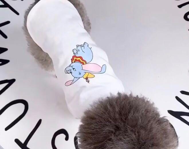 Bn Designer Series Loewe X Disney Dumbo The Flying Elephant