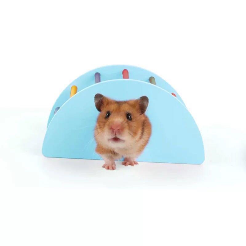 hamster rainbow bridge