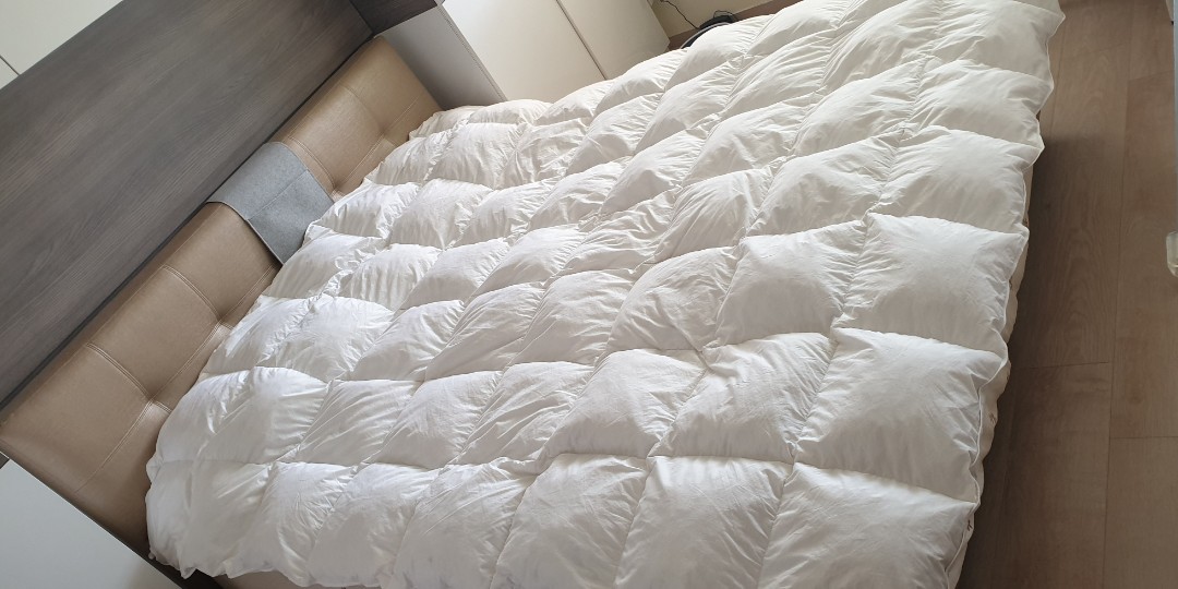 Sheraton goose feather down quilt outlet