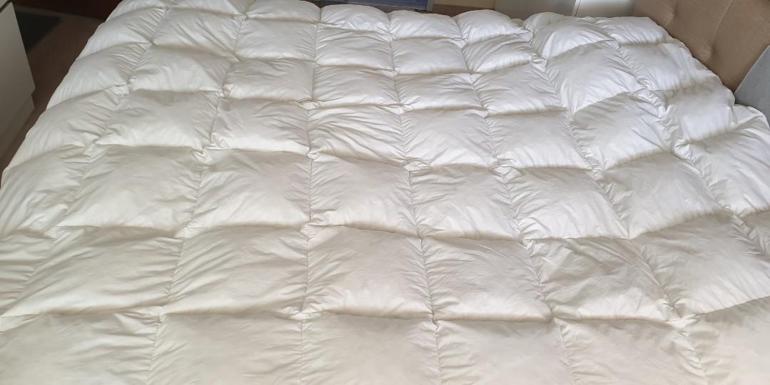 Sheraton goose feather down quilt outlet