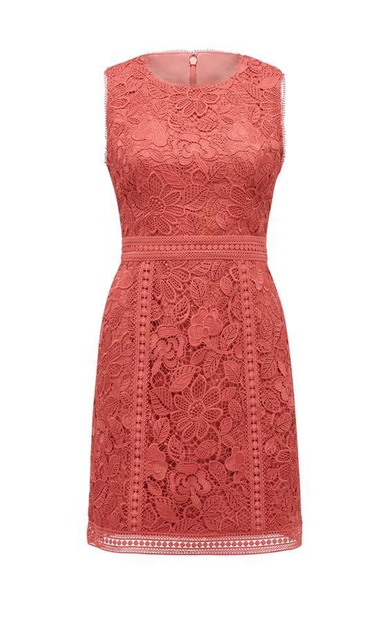 Forever New BNWT Callista Lace Trim Dress Women s Fashion Tops