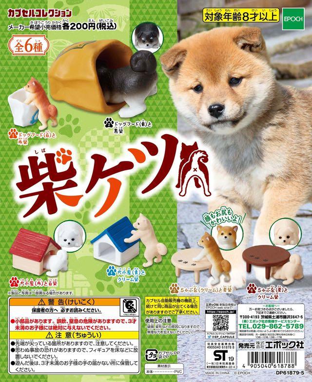 Epoch Gachapon Shiba Ketsu And Furniture Mascot Full Set Of 6 Toys Games Others On Carousell