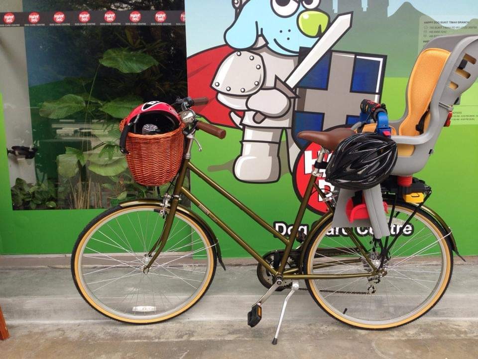 Second hand bobbin hotsell bike