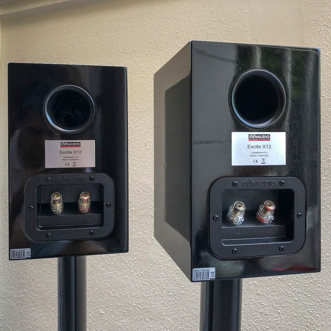 dynaudio excite x12