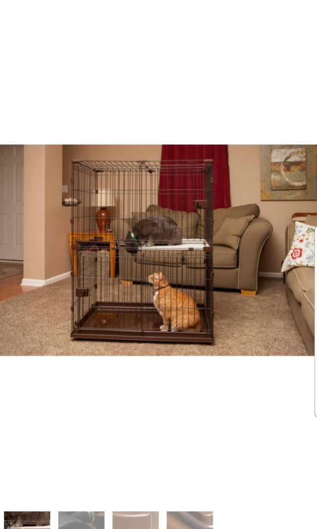 Iris Usa Premium 2 Two Tier Level Area Small Animal Cat Fun Wire