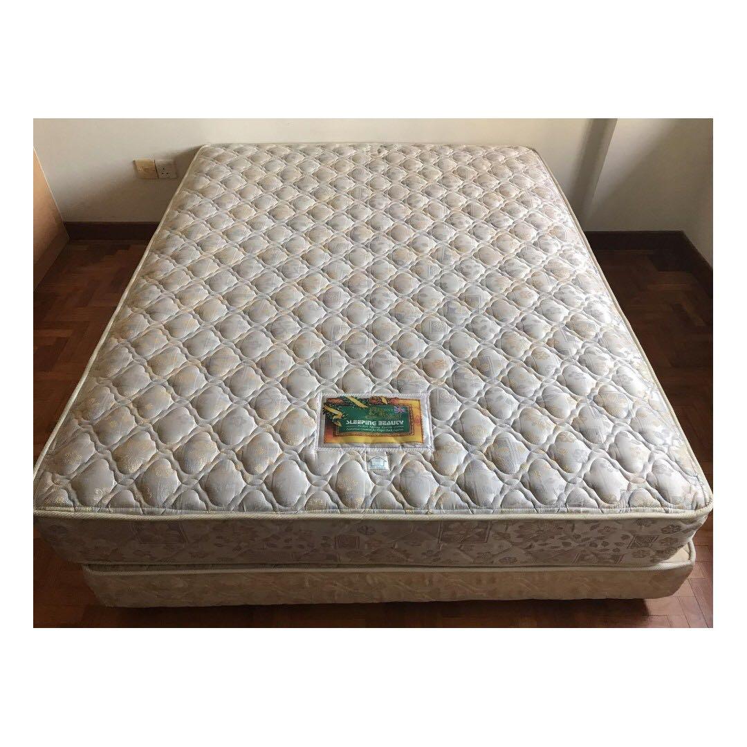 Sleeping Beauty Mattress Divan Furniture Beds Mattresses On