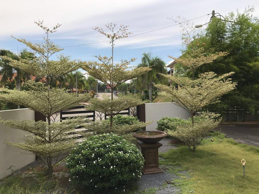 TwoStorey SemiD Corner Lot For Sale Bukit Istana, Kuantan