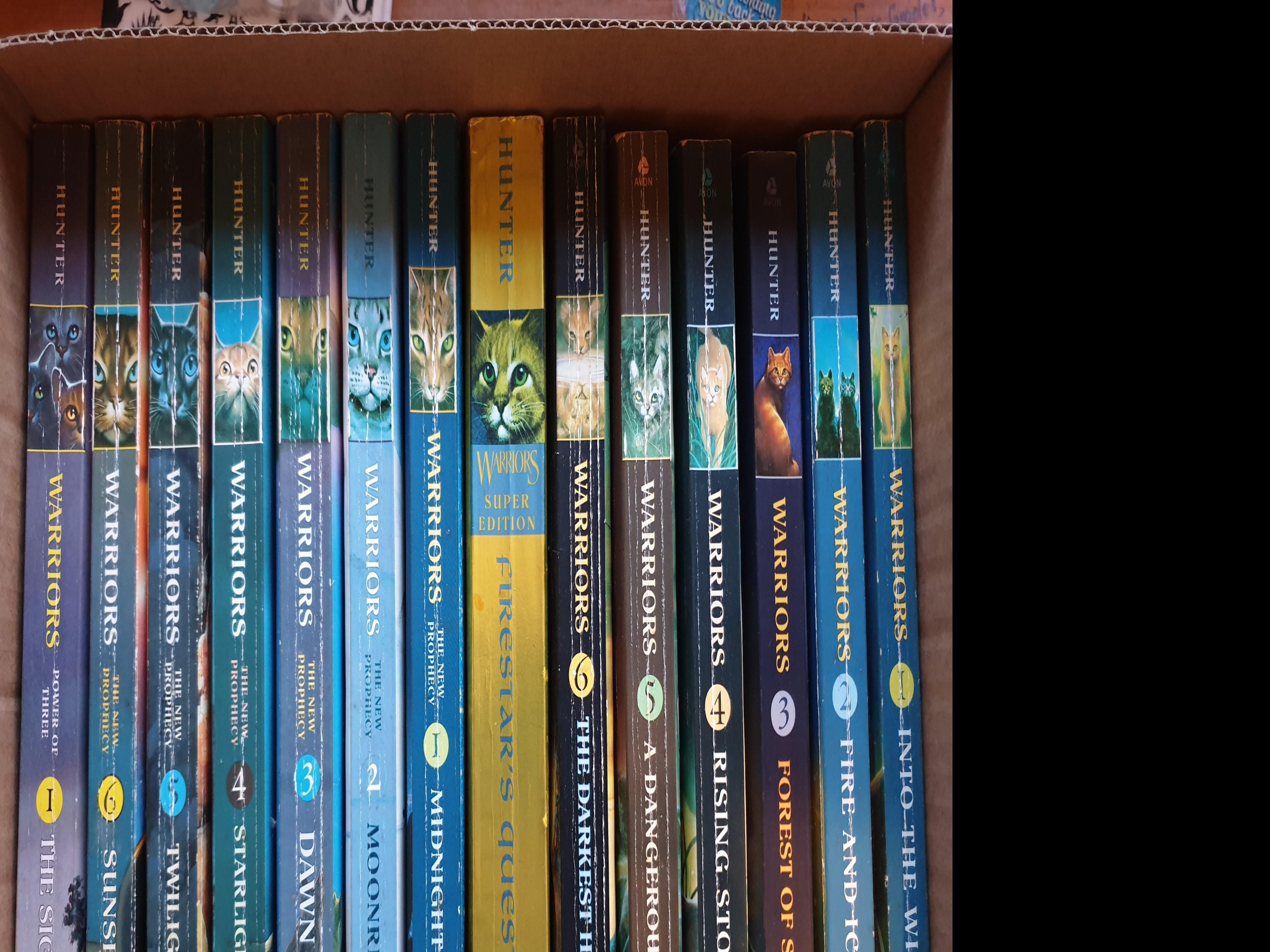 Warrior Cats Entire Series Books Stationery Fiction On Carousell