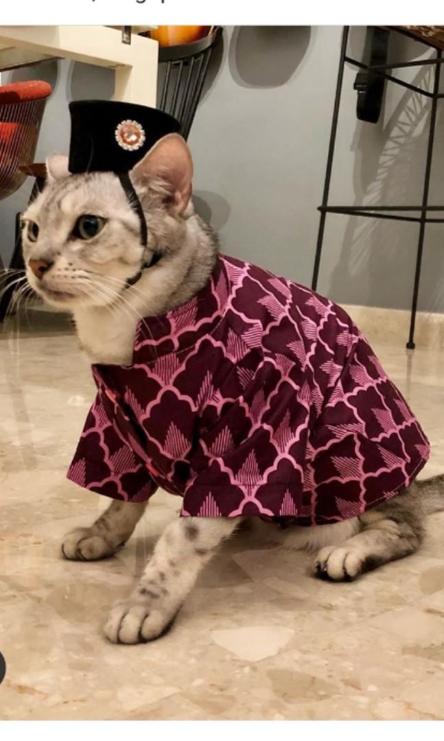 Baju Raya Kucing Pet Supplies Health Grooming On Carousell