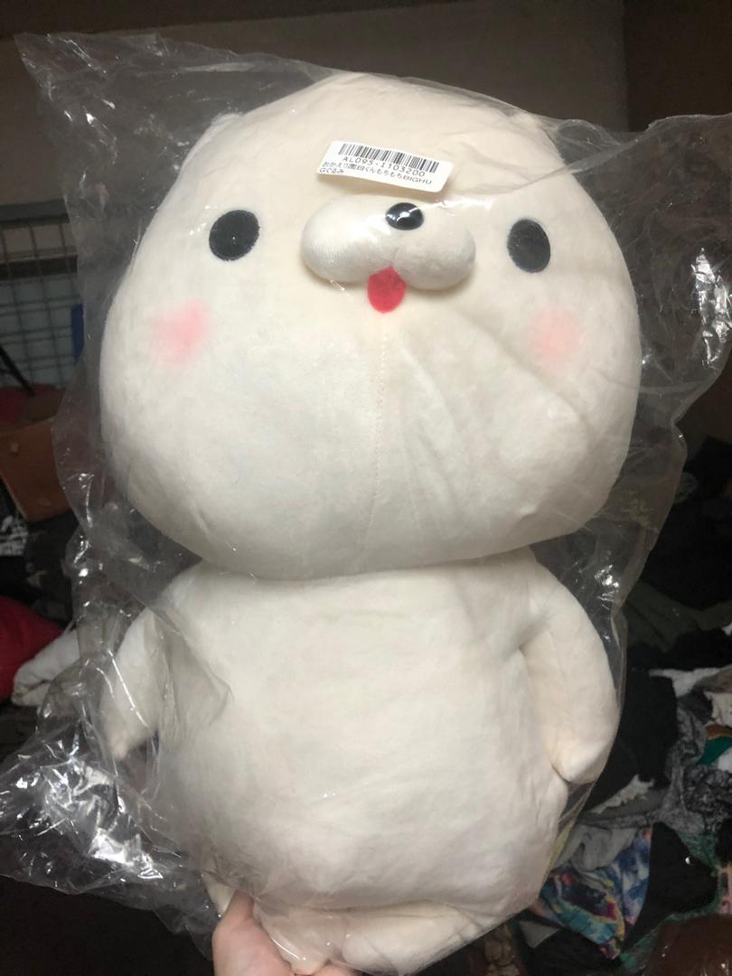toreba cat