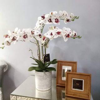 Artificial orchid with ceramic vase