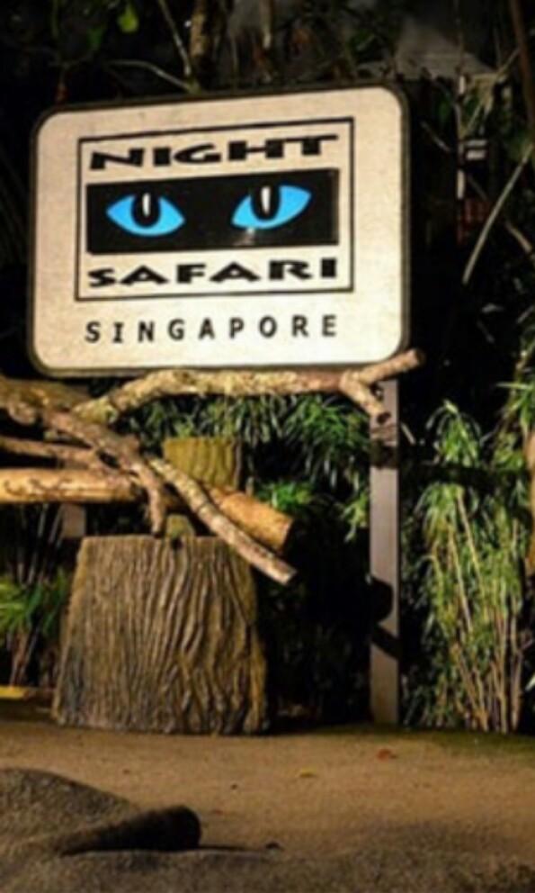 night safari ticket klook