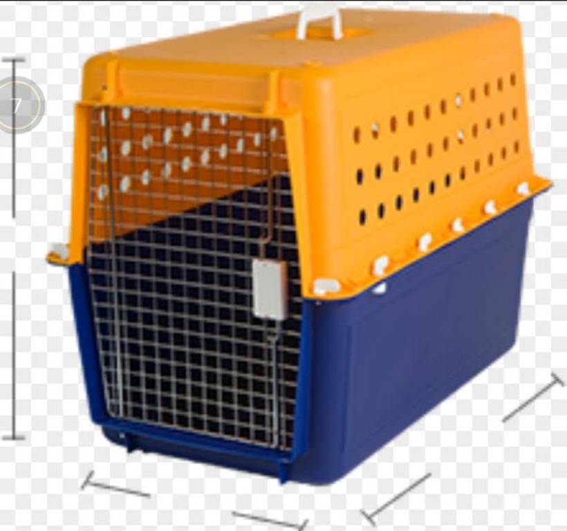 Pp50 dog crate on sale size