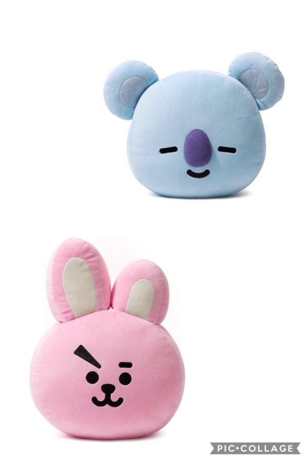 cooky bt21 plush pillow