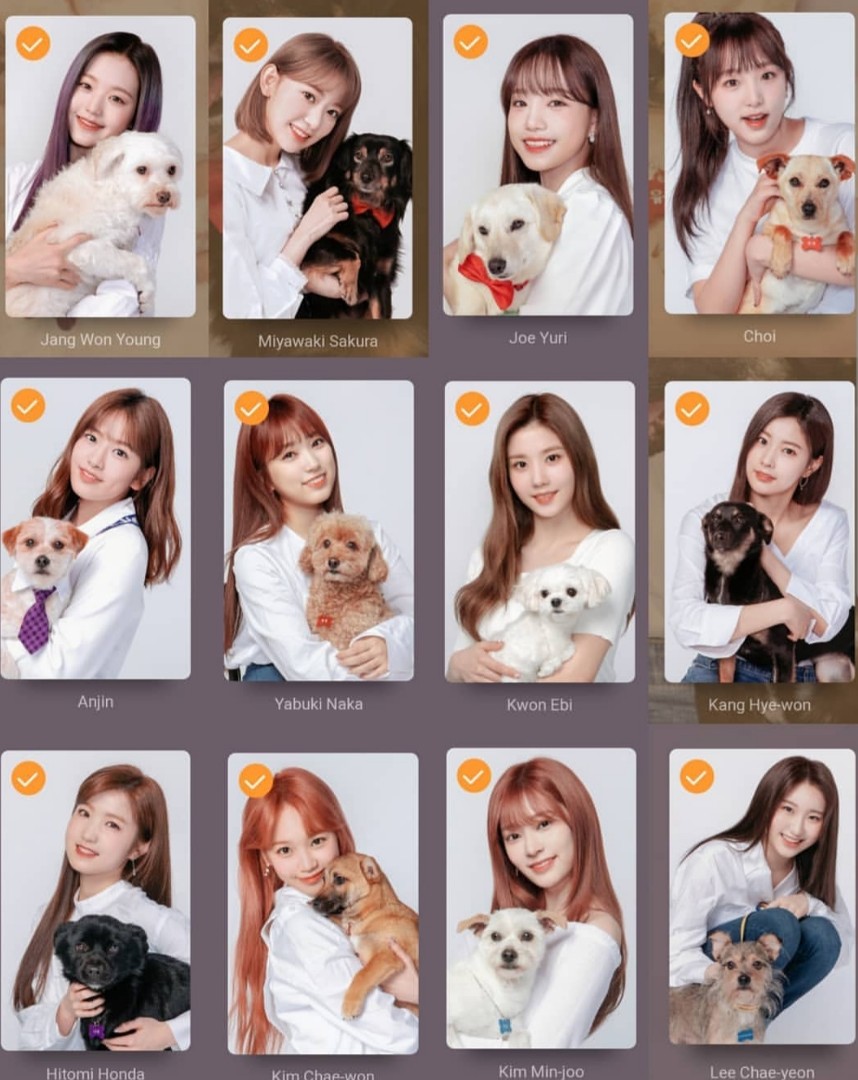 IZ*ONE ミンジュ トレカ gmarket shop for dog IZ*ONE ミンジュ トレカ gmarket shop for dog