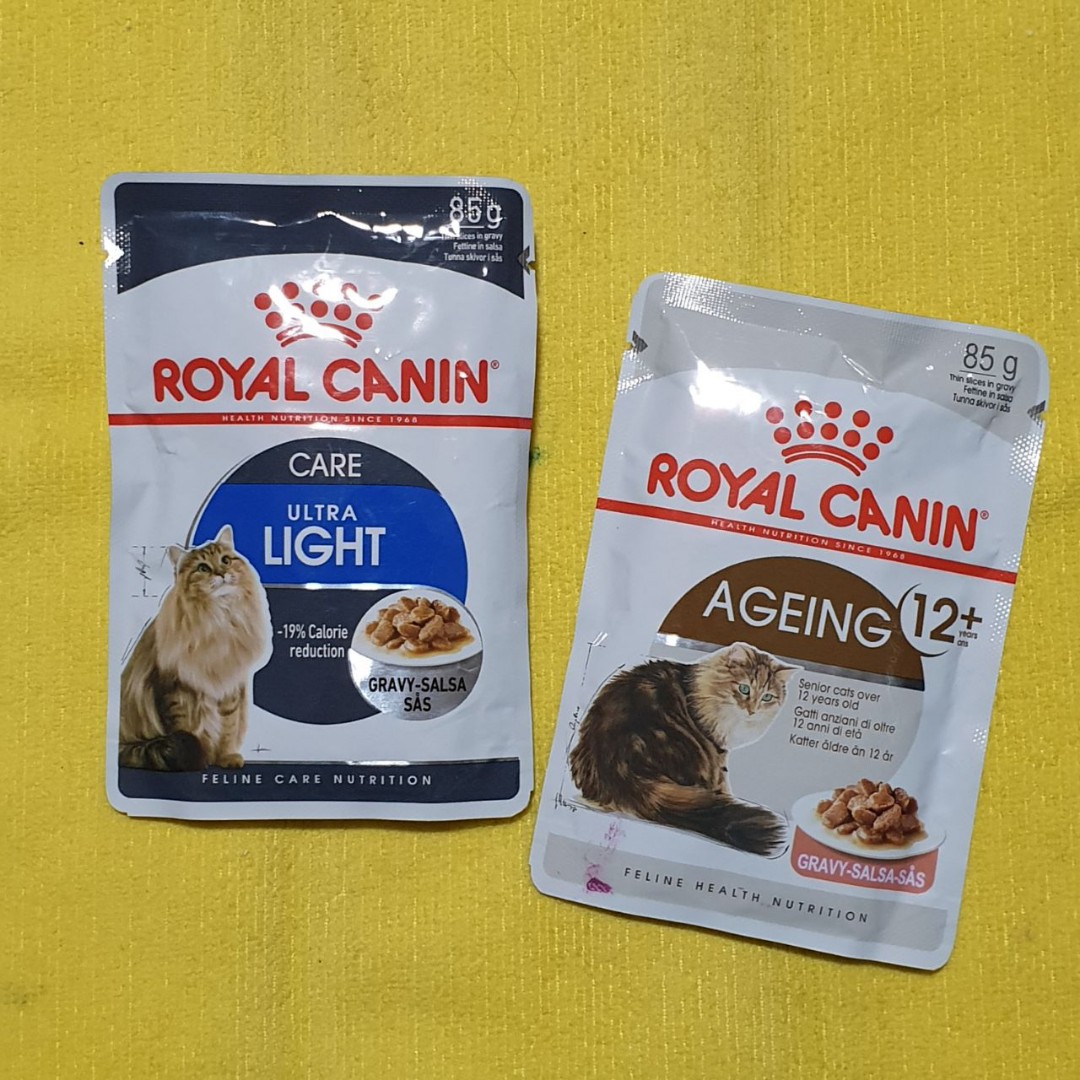 Royal Canin Cat Wet Food Pouch 85g Pet Supplies For Cats Cat Food On Carousell