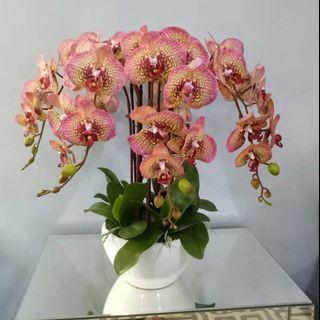 Artificial orchid with ceramic vase