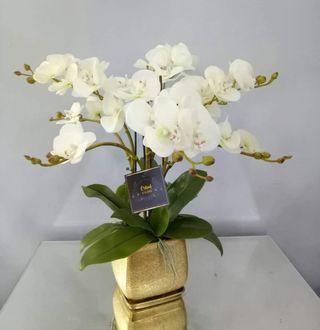Orchid & golden  vase