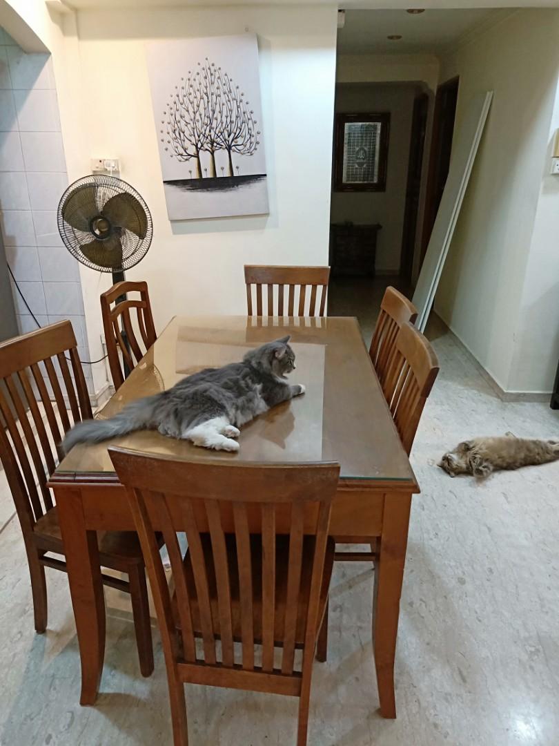 Dining Set (Category: Tables & Sets) located in Singapore. Submitted by cosmicwind_8b1475 (Listing ID 231948702, Image 1). Description: .