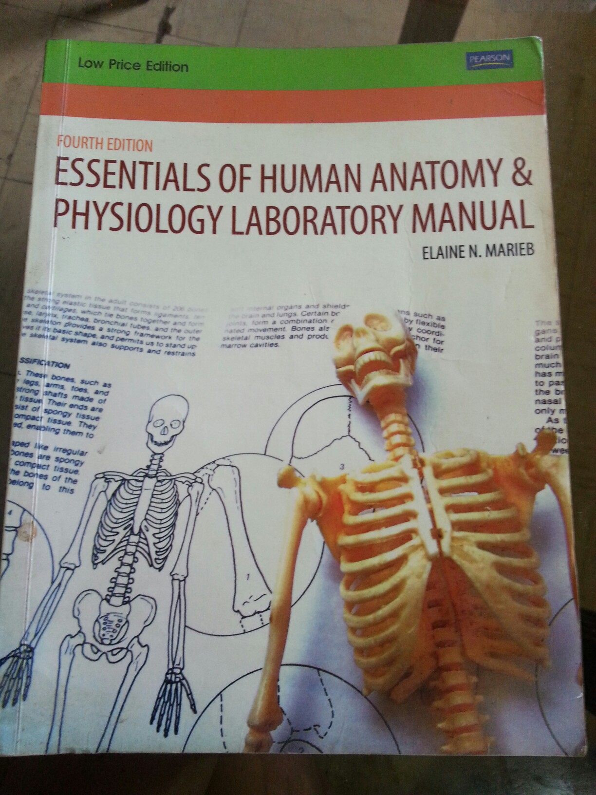 Essentials Of Human Anatomy Physiology Laboratory Manual 4th Edition Books Books On Carousell