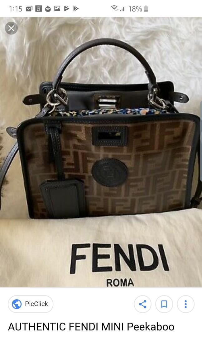 fendi bag cover