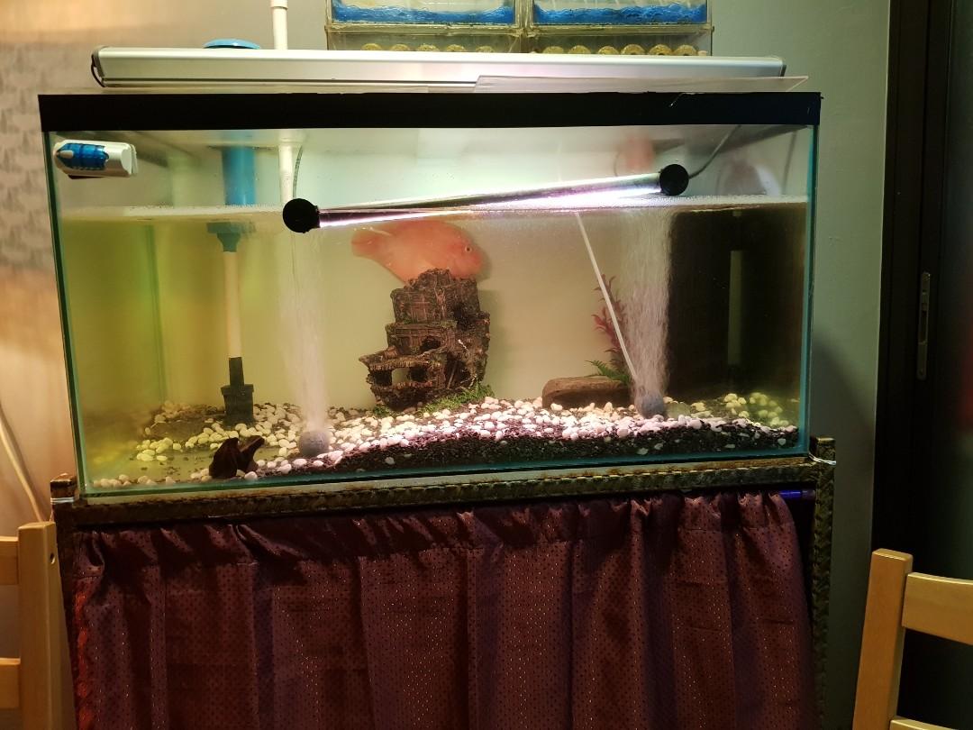 used fish tank supplies