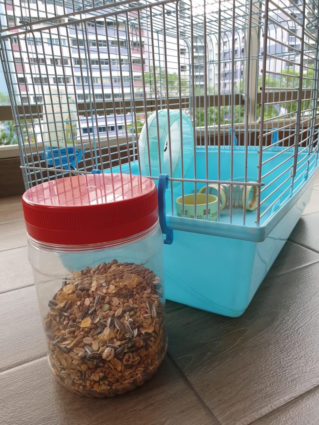 Hamster's cage and accessories, Pet Supplies, Homes & Other Pet