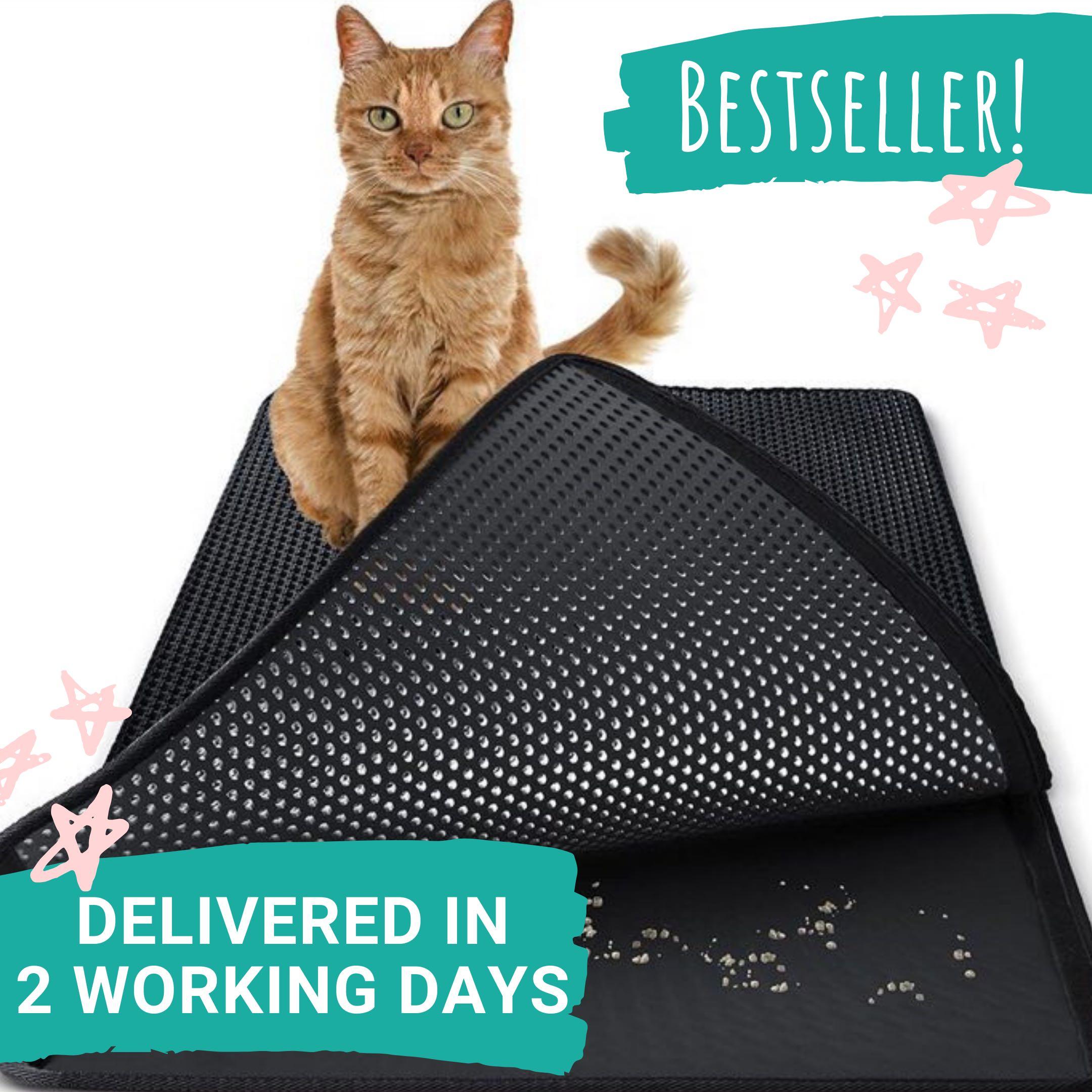 Instock Cat Litter Mat Pet Supplies For Cats Cat Accessories On Carousell