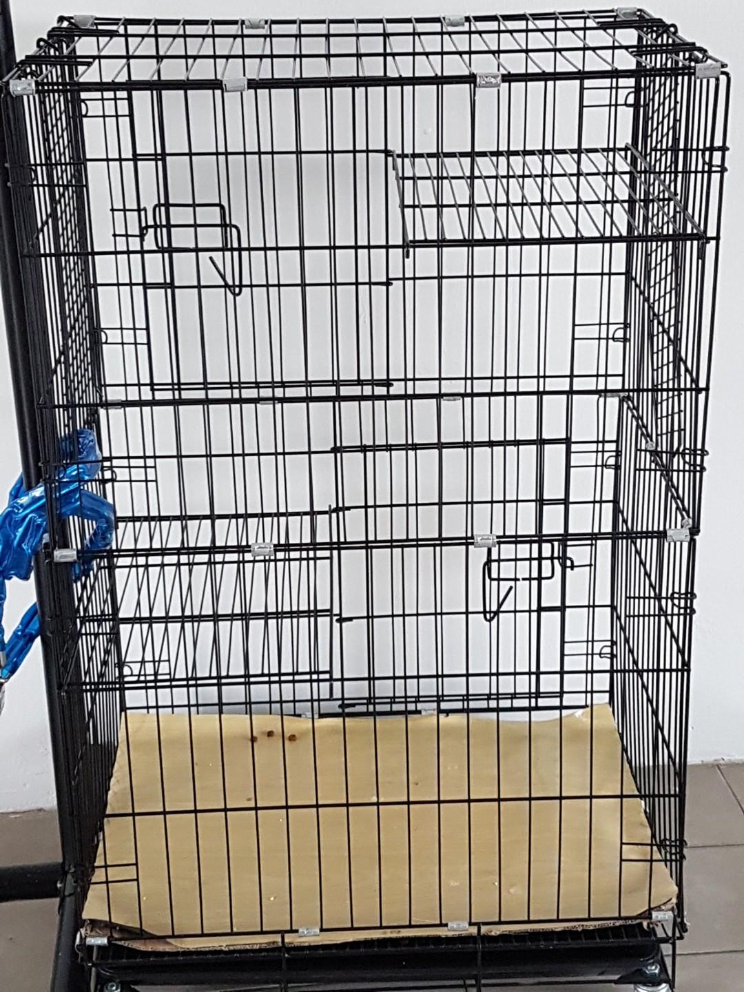 cage for kittens